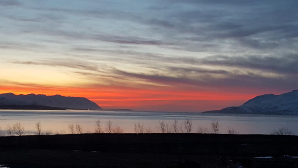 Hotel Sveinbjarnargerdi Svalbarthseyri Dış mekan fotoğraf