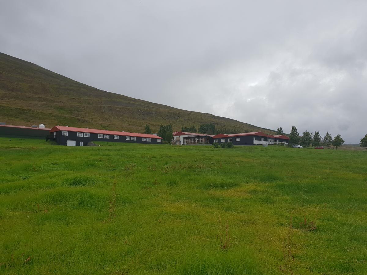 Hotel Sveinbjarnargerdi Svalbarthseyri Dış mekan fotoğraf